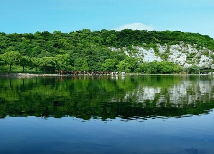 太湖牛仔鄉村基地