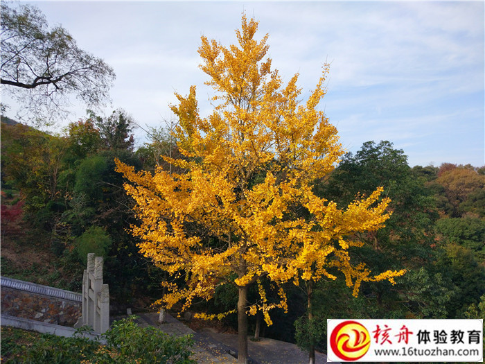 Sew-電機（蘇州）有限公司10/15周年員工主題拓展新聞報道